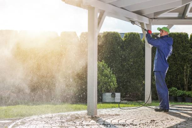 Best Roof Washing  in Old Hill, CT